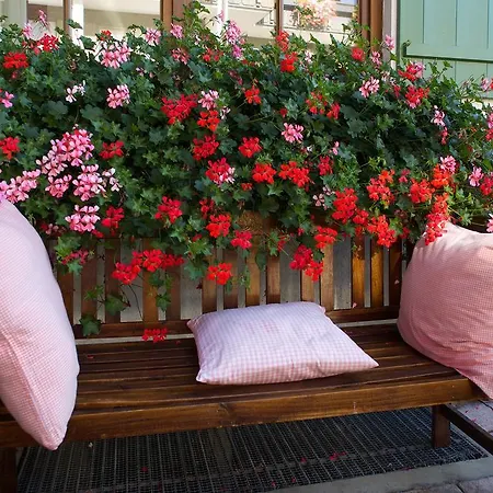 Szálloda Menning ***s